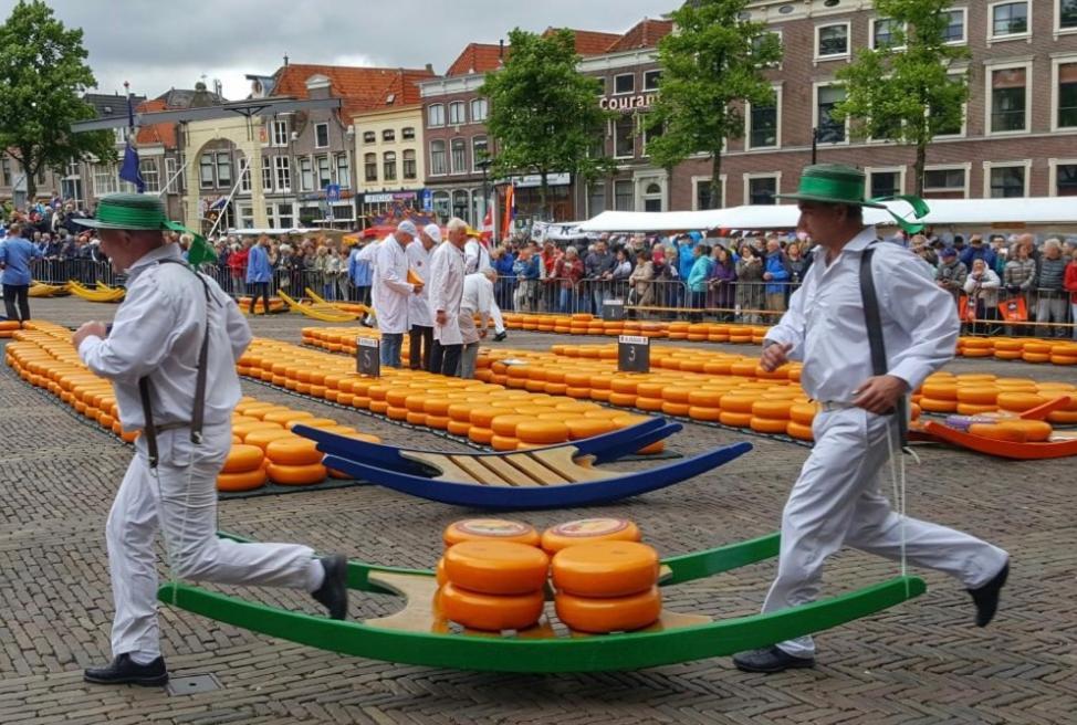 Meerpaal 43 Bergen Luaran gambar
